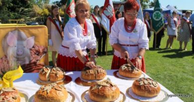Święto plonów w Otyniu - wielkie powiatowe dożynki 2016